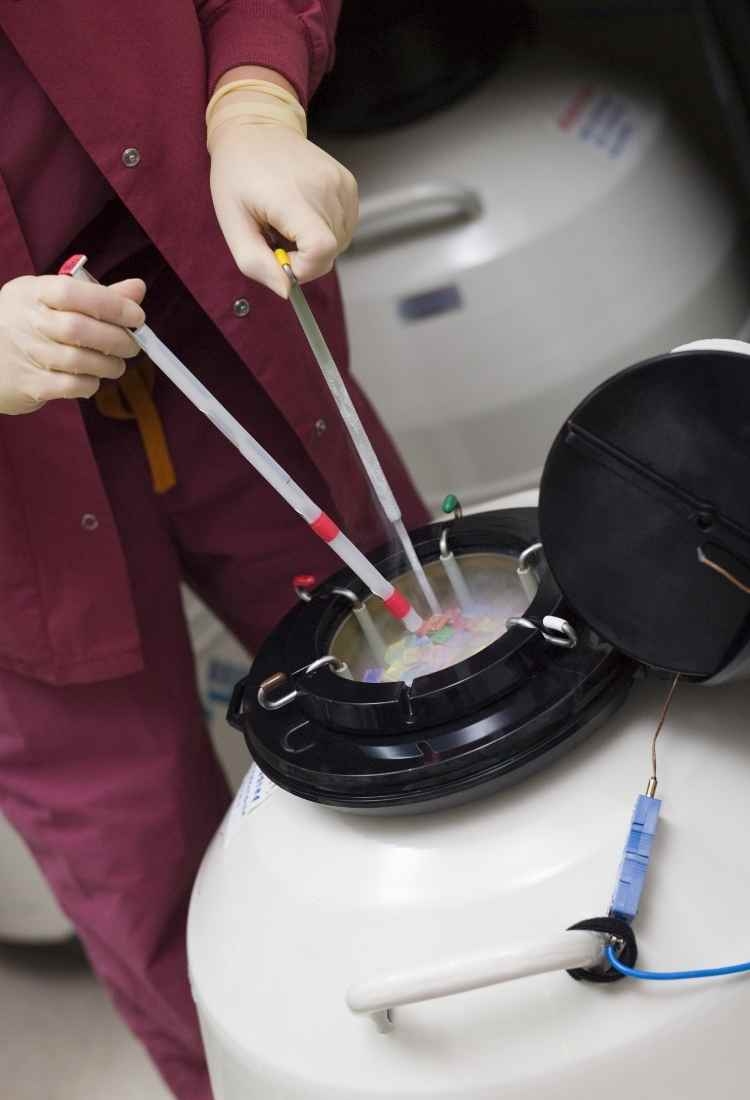 Ayurveda for Mental Health: Natural Approaches to Well-being