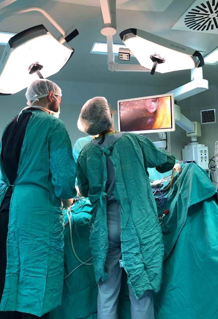 The Relationship Between Chronic Diseases and Inflammation